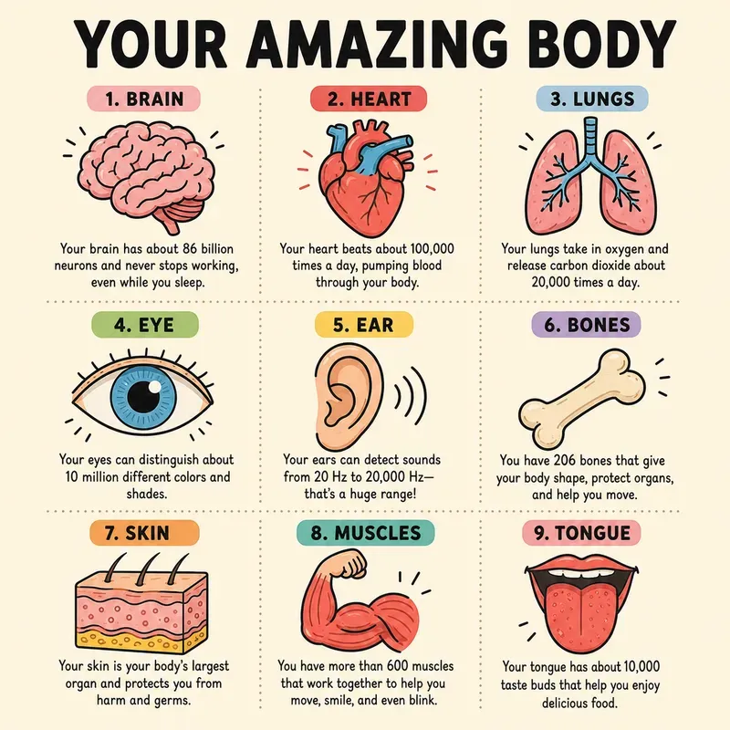 Cute Fact Infographic Posters