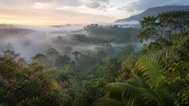 Pristine Nature Photography