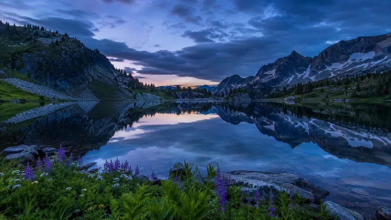 Pristine Nature Photography