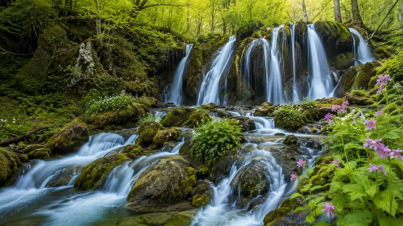 Pristine Nature Photography
