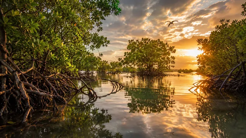 Pristine Nature Photography