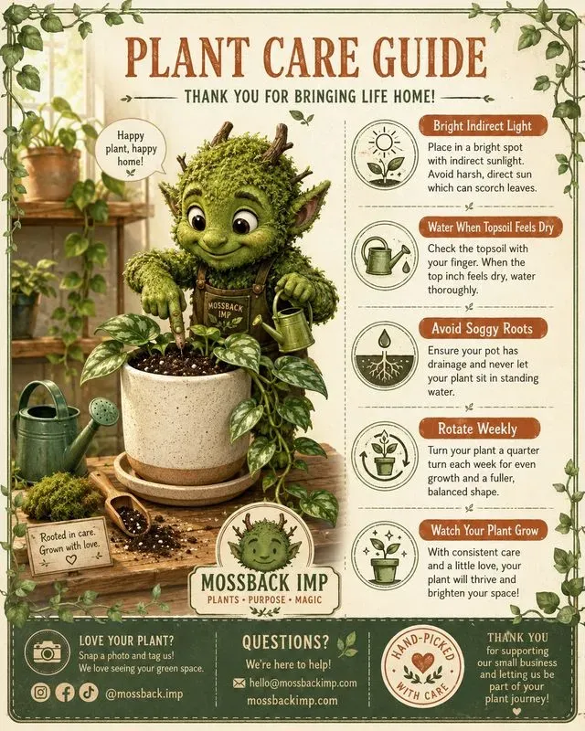 Cute Fantasy Product Care Cards