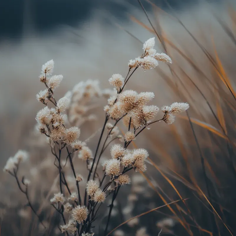 Nature Subtle Details Macro Photographs