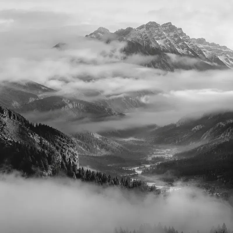 Monochrome Nature Serenities