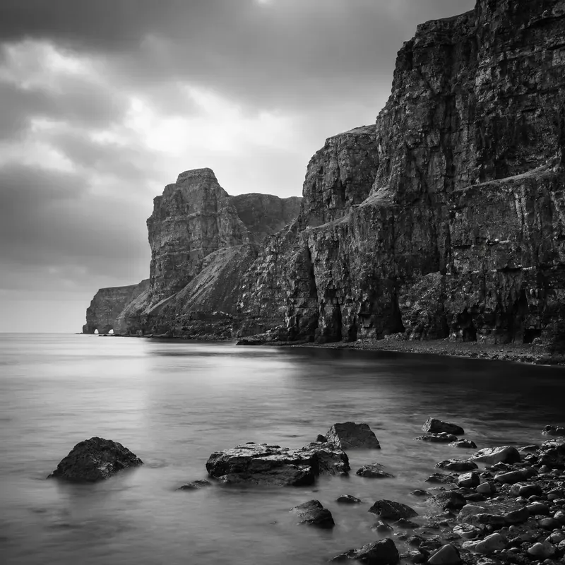 Monochrome Nature Serenities