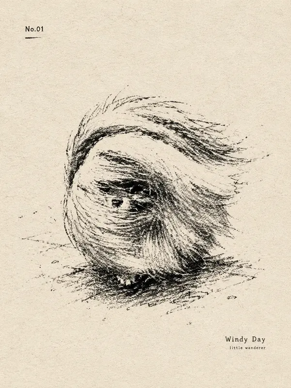 Pet Indie Poster Illustrations