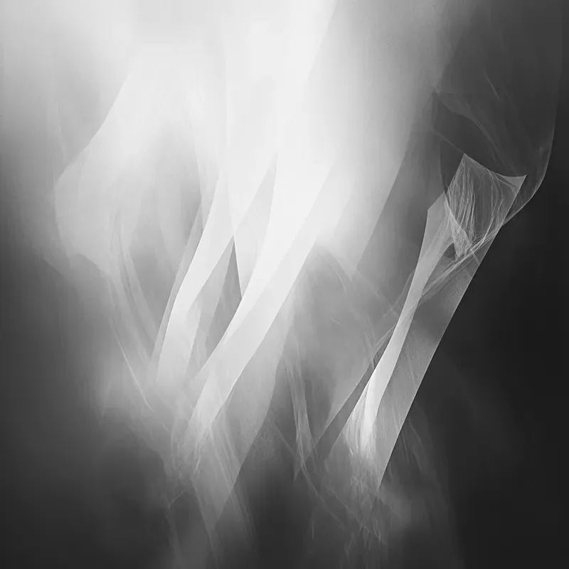 Inkveil Echos