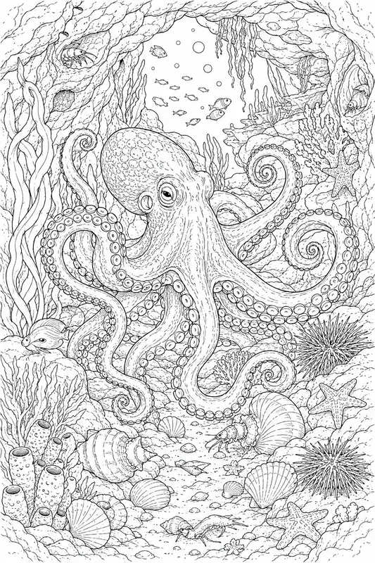 Ocean Sea Creatures Adult Coloring Pages