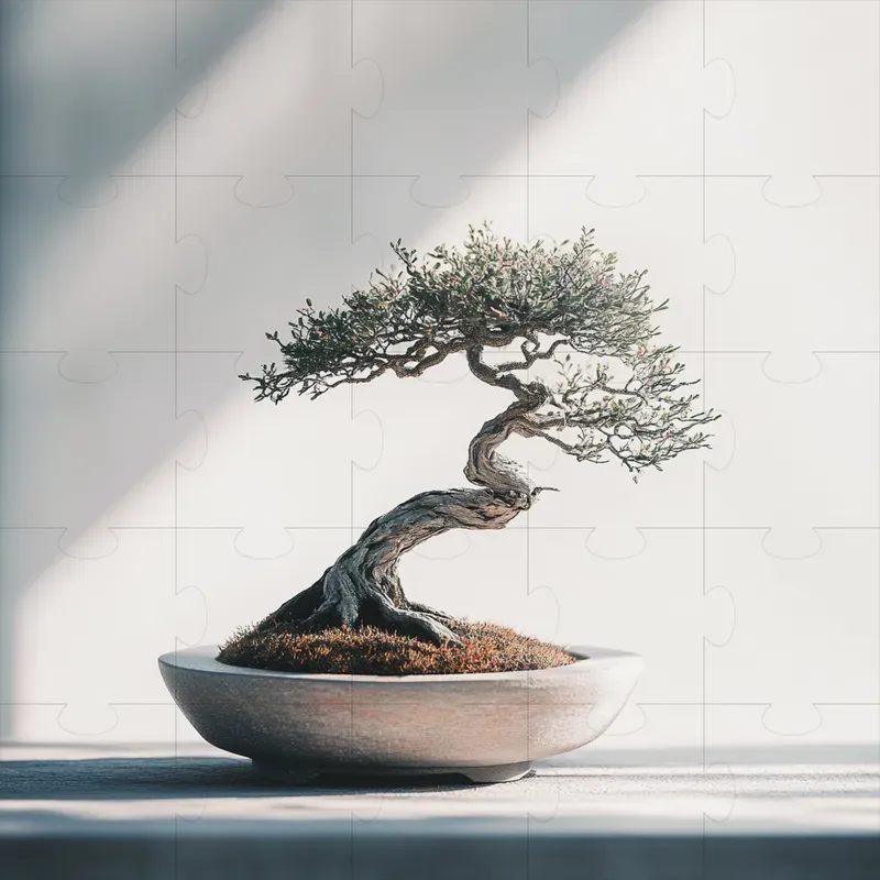 Beautiful Plant Photography