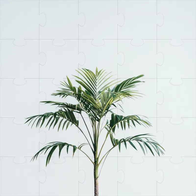 Beautiful Plant Photography