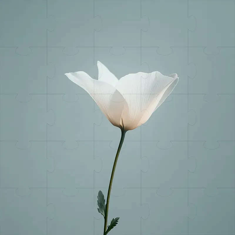 Beautiful Plant Photography
