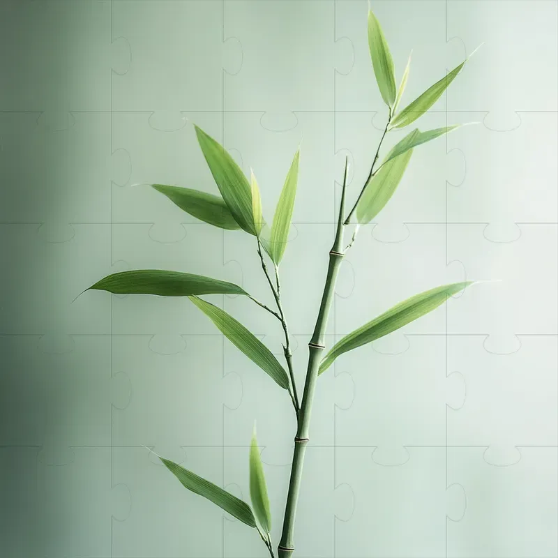 Beautiful Plant Photography