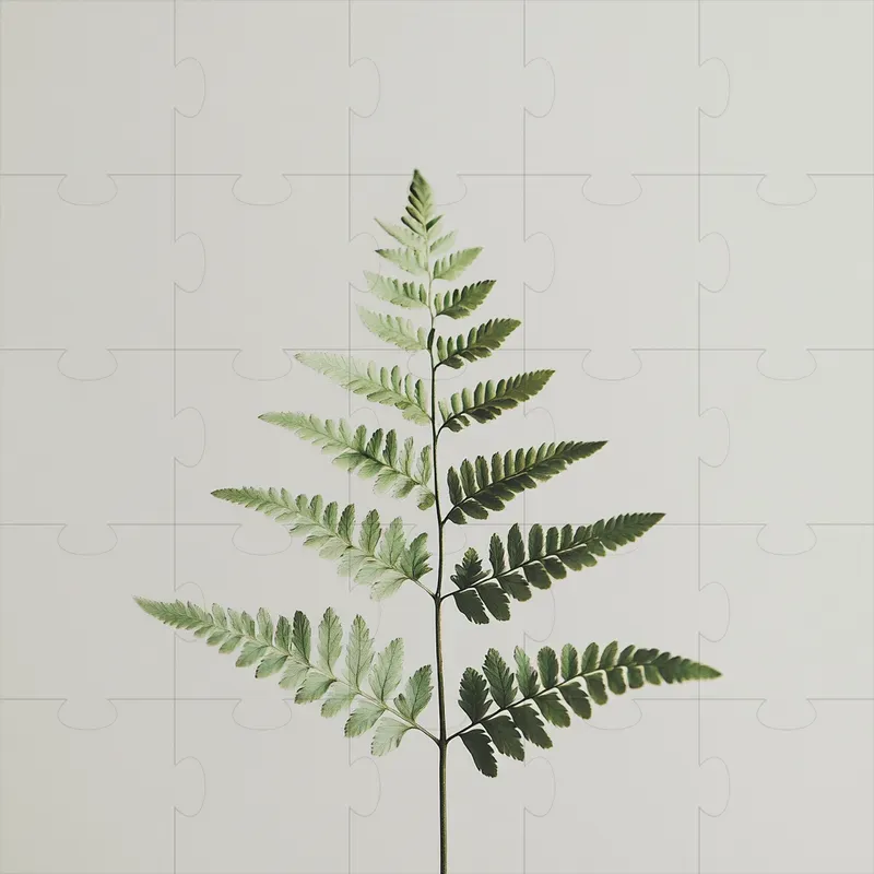 Beautiful Plant Photography