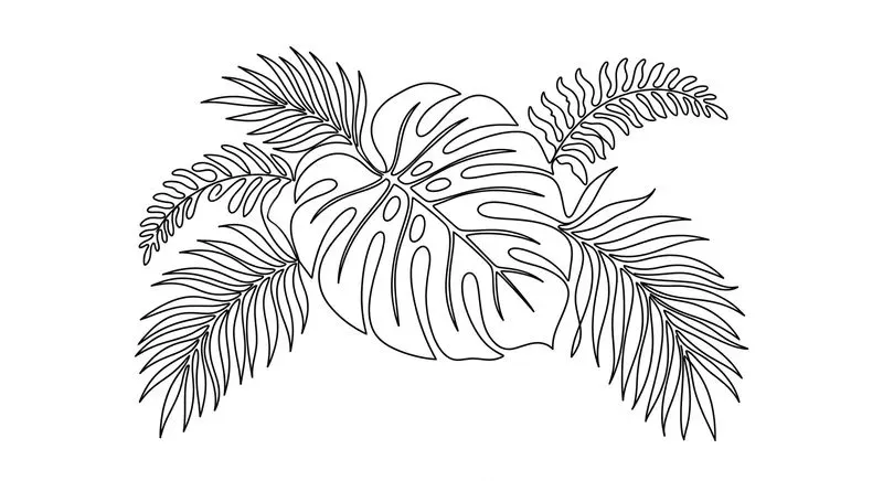 Minimalist Continuous Line Art Vectors