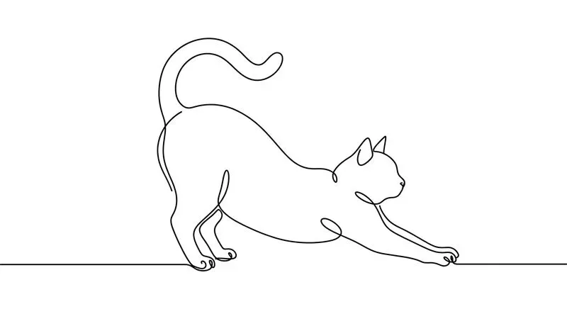 Minimalist Continuous Line Art Vectors