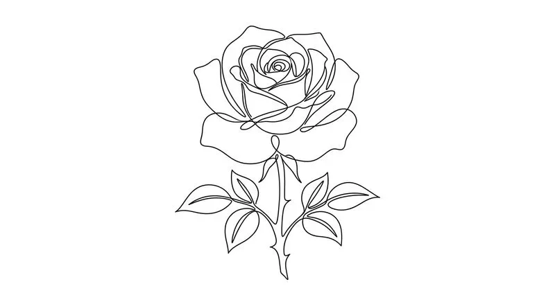 Minimalist Continuous Line Art Vectors