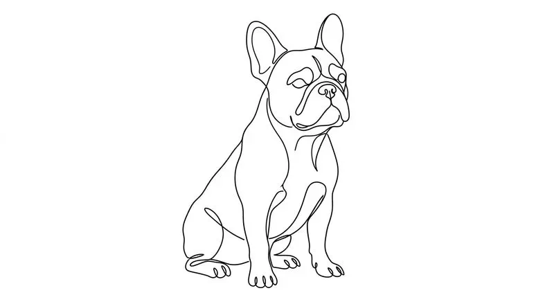 Minimalist Continuous Line Art Vectors