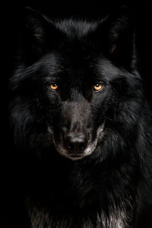 Wild Canid Portrait Generator