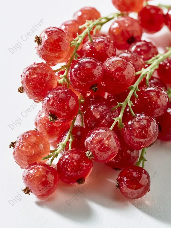 Wild Berries Stock Photos