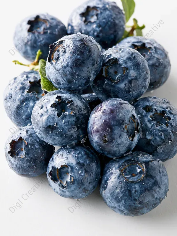 Wild Berries Stock Photos