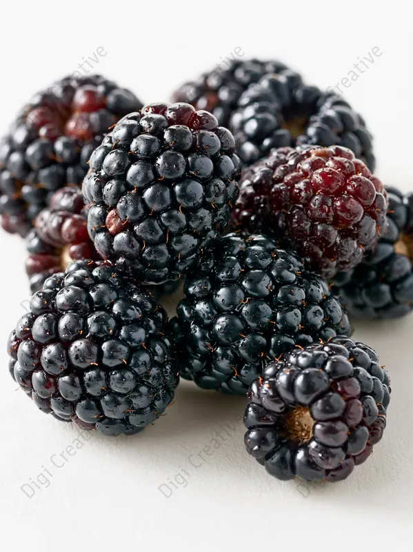 Wild Berries Stock Photos