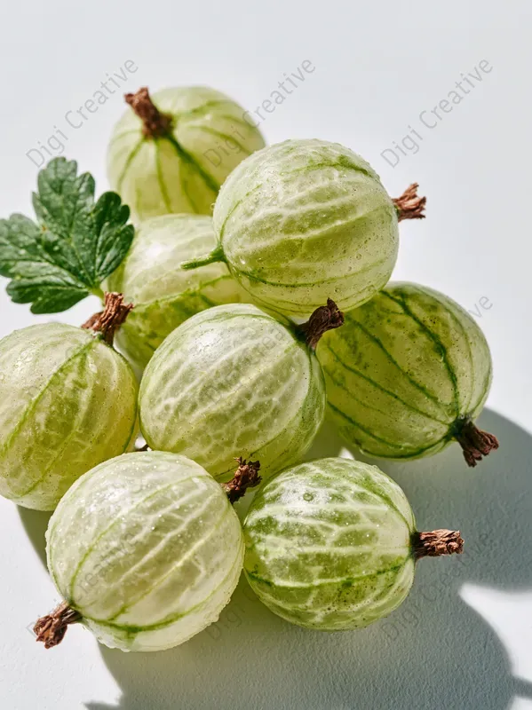 Wild Berries Stock Photos
