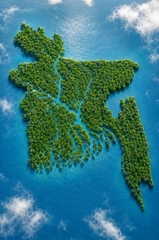 Countries Map Forest Landscapes