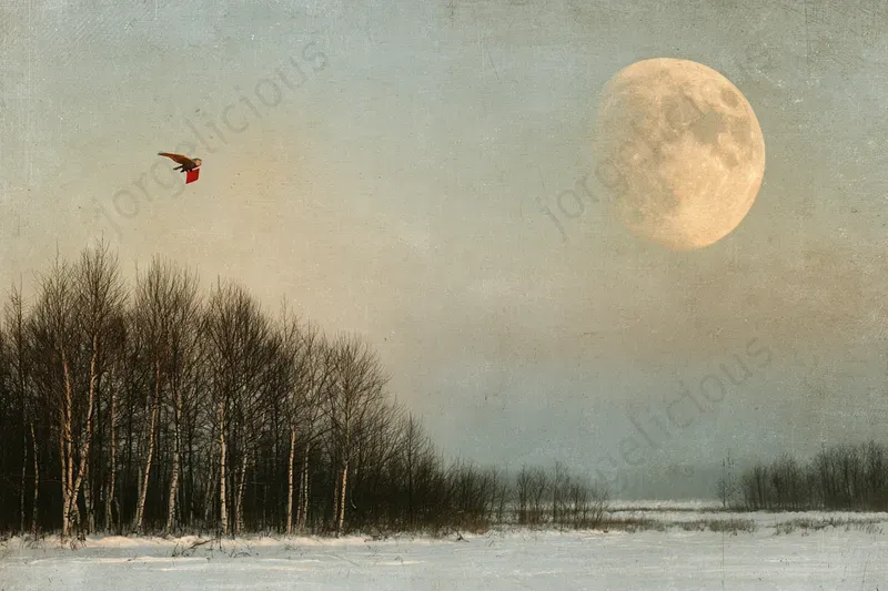 Dreamlike Christmas Fine Art Photography