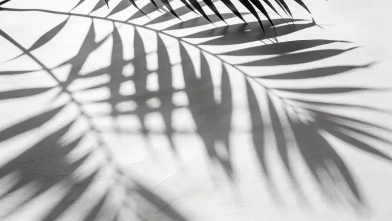 Botanical Shadow Light Overlay Generator