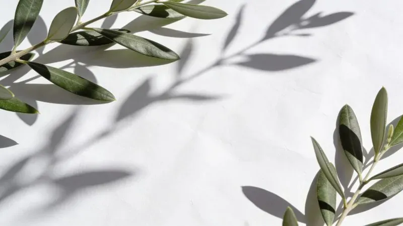 Botanical Shadow Light Overlay Generator