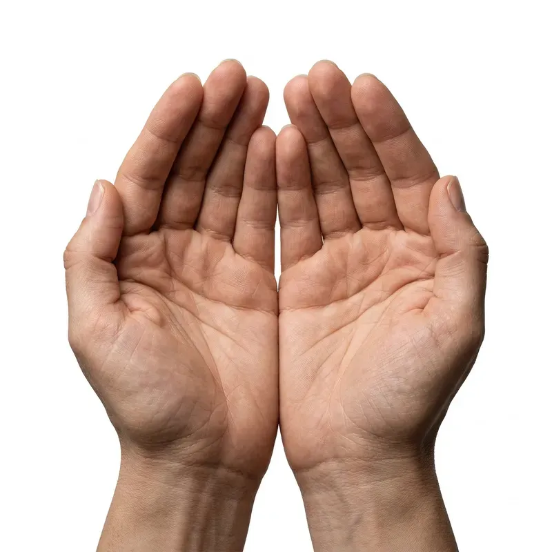 Clean White Background Subject Images