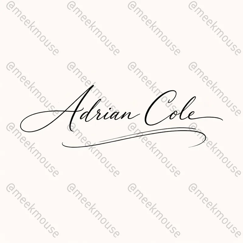 Handwritten Signature Logo Designers