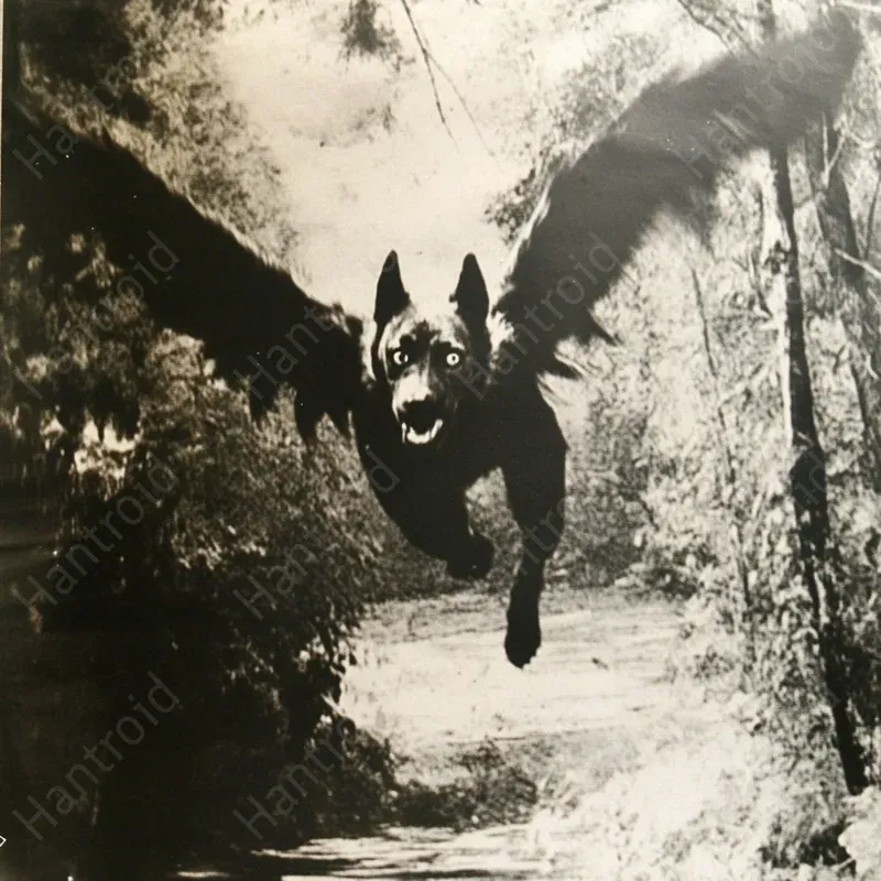 Surreal Flying Impressions