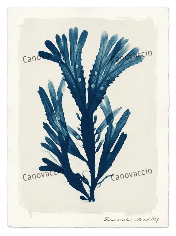 Cyanotype Botanical Ephemera Cards