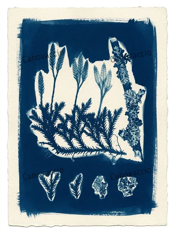 Cyanotype Botanical Ephemera Cards