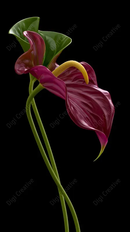 Luxury Botanical Studio Portraits
