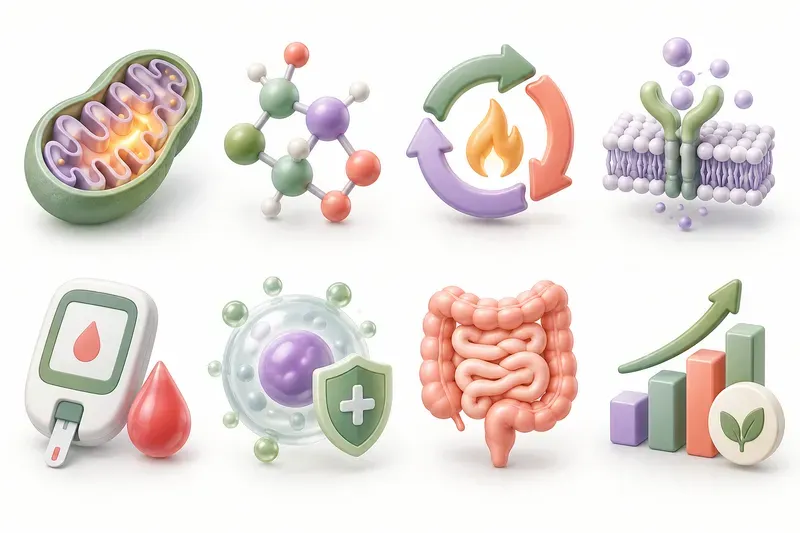 Metabolic Wellness 3D Infographic Kits