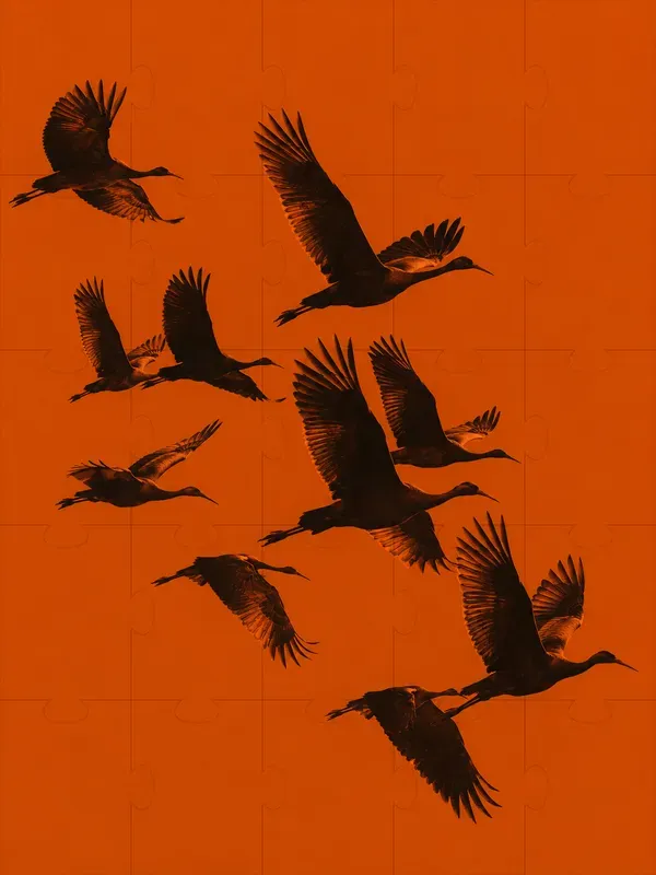 Dark Orange Minimalist Duotone Photos