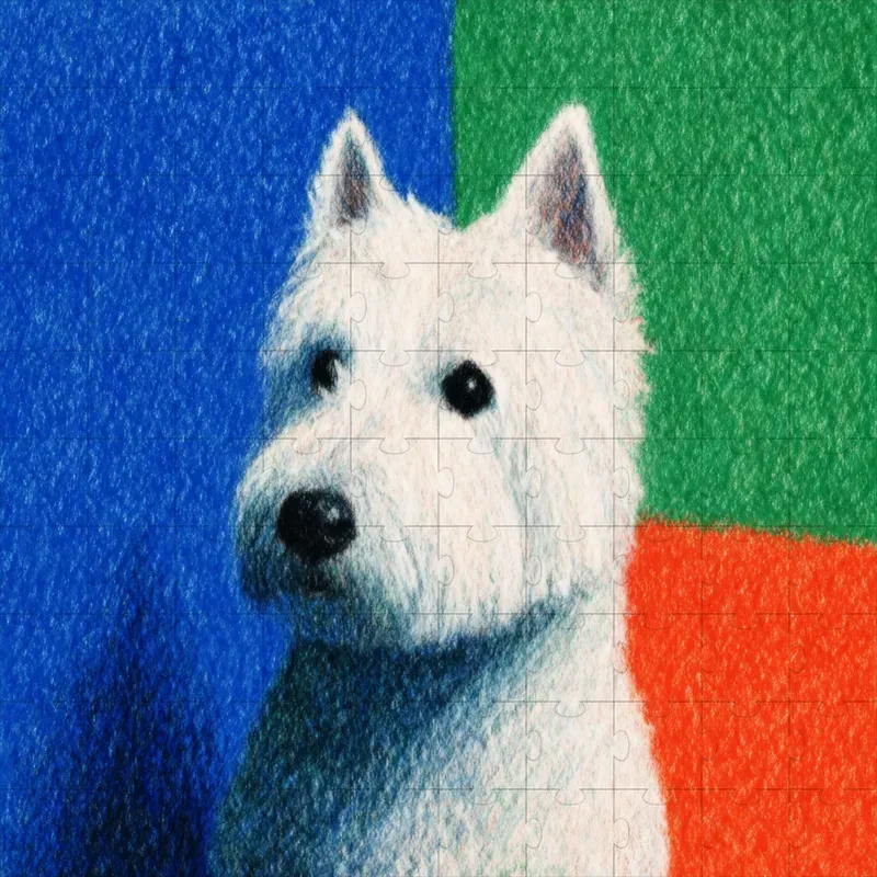 Colored Pencil Grainy Soft Illustrations