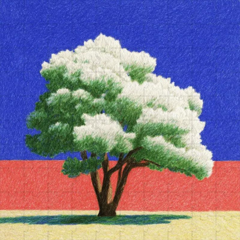 Colored Pencil Grainy Soft Illustrations