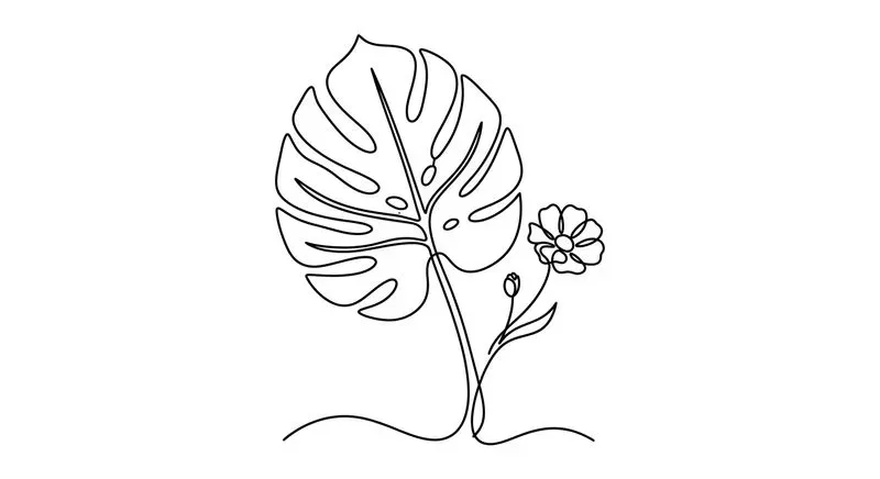 Minimalist Continuous Line Art Vectors
