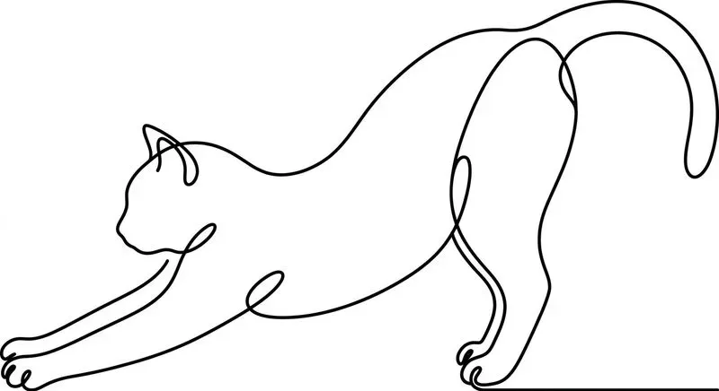 Minimalist Continuous Line Art Vectors