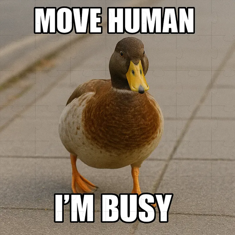 Meme Animal Generators