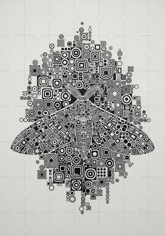 Abstract Geometric Illusions