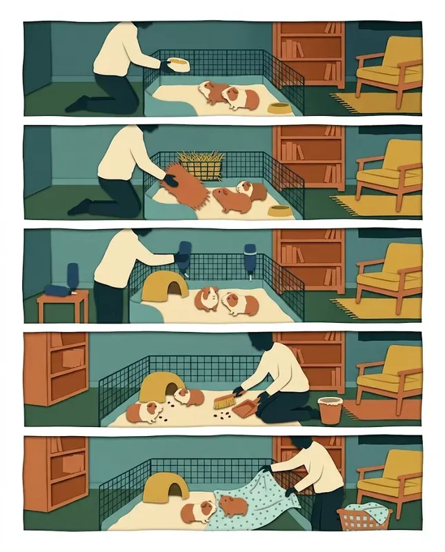 Pet Routine Cue Cards