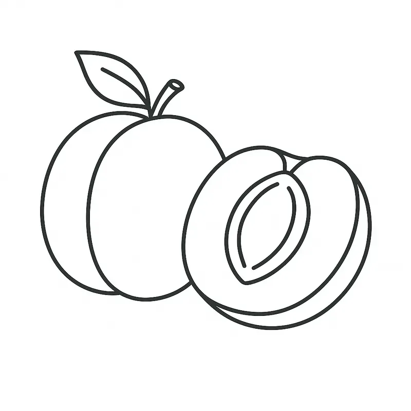 Fruits Veggies