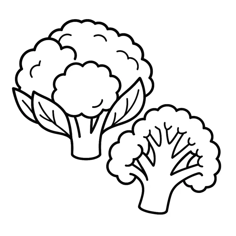 Fruits Veggies
