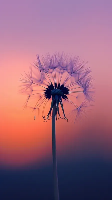 Minimalist Serene Aesthetic Wallpapers