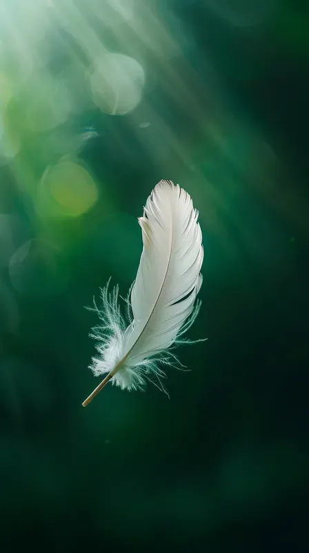 Minimalist Serene Aesthetic Wallpapers