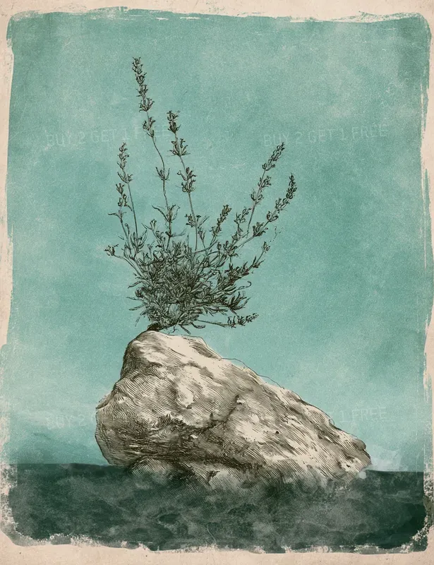 Inkwell Solitude Memoirs